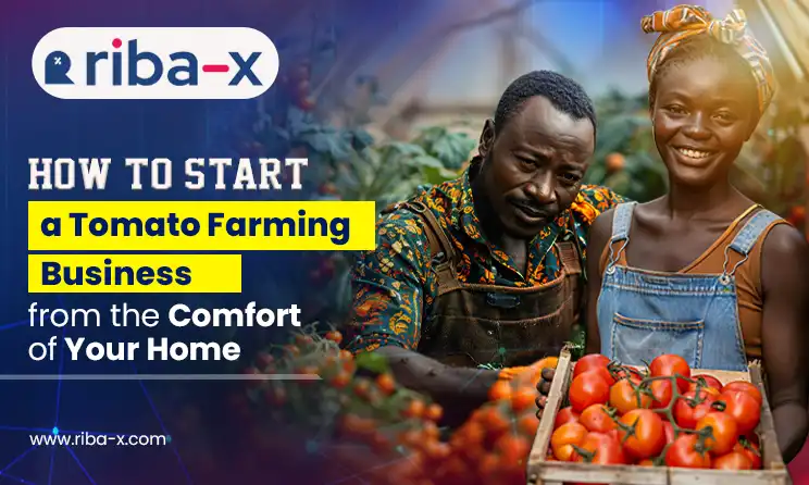 How to Start a Tomato Farming Business from the Comfort of Your Home